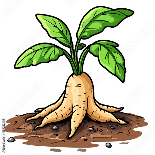 Illustration of a ginseng leaf 