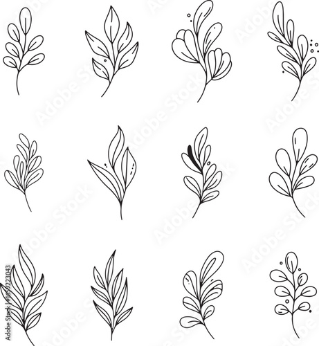 Hand drawn botanical leaves and branches simple floral elements for design