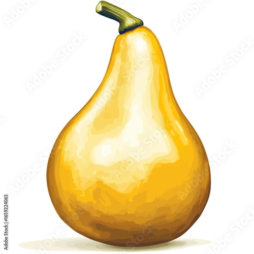 Gourd isolated on white background 