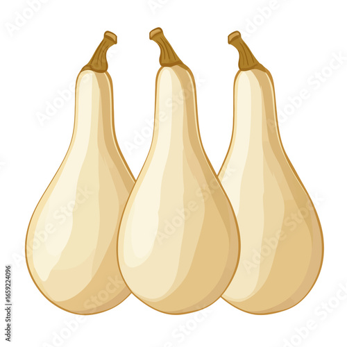 Gourd vector 