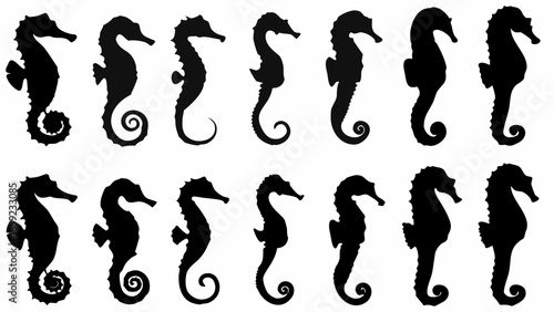Silhouette depictions of seahorses arranged in two rows against a white background showcasing sea creatures