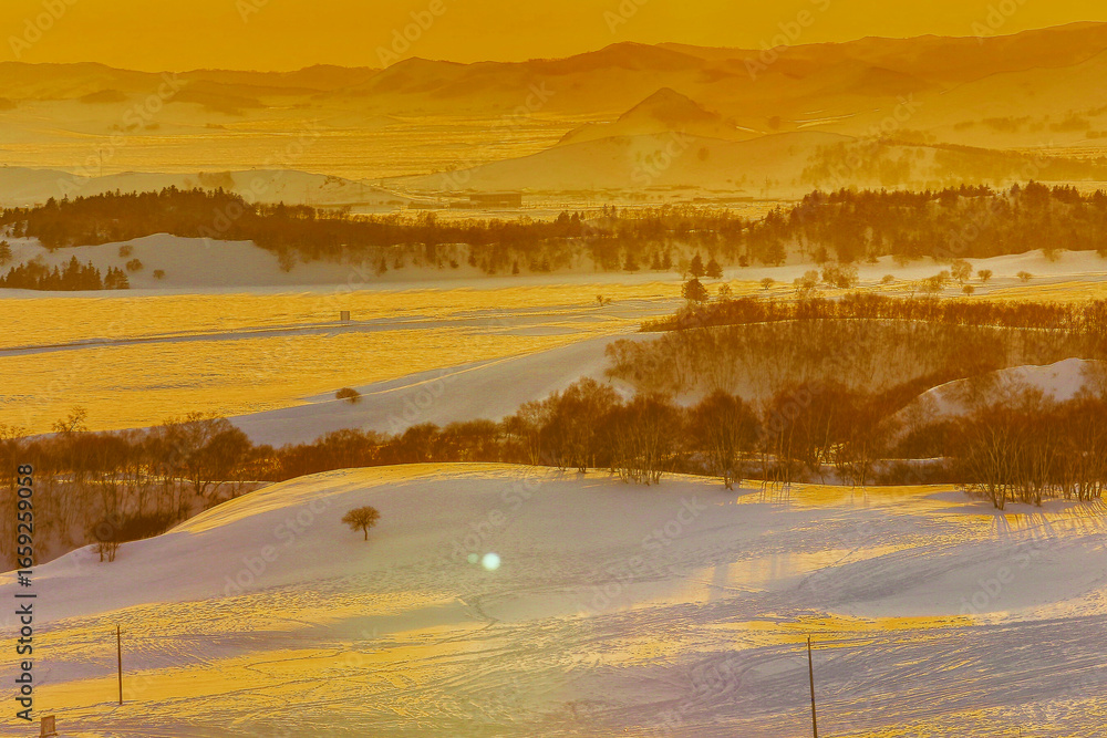 Fototapeta premium Golden Snow-Covered Bashang Grasslands in Inner Mongolia During Winter Sunset
