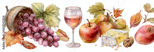 Vector illustration of wine and cheese. Autumn harvest watercolor clipart, on white background. Banner