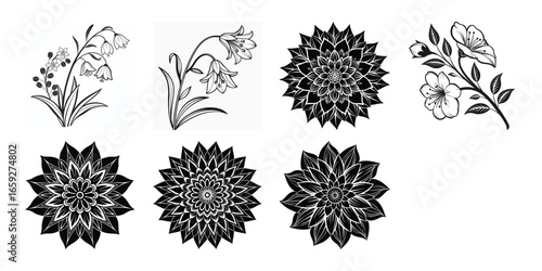 Set of Flower icons Silhouettes, Abstract botanical flower icon, vector botany floral design Cute round flower plant nature collection, Vector illustrator.
