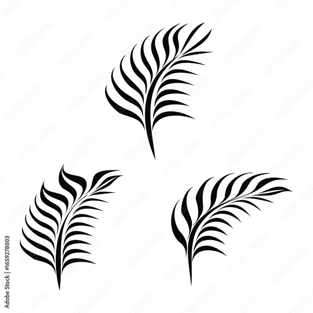 Obraz premium Black Palm Leaf Silhouette Collection