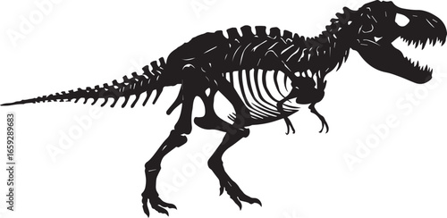 Silhouette of a Tyrannosaurus Rex skeleton on a white background dinosaur T-Rex
