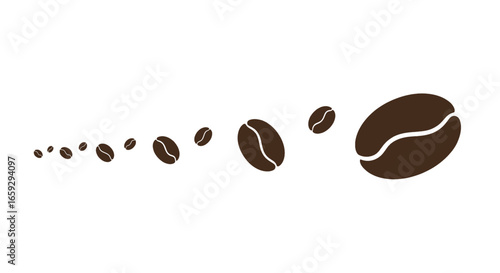Line of Coffee Beans Gradually Increasing Size on White Background from Small to Large