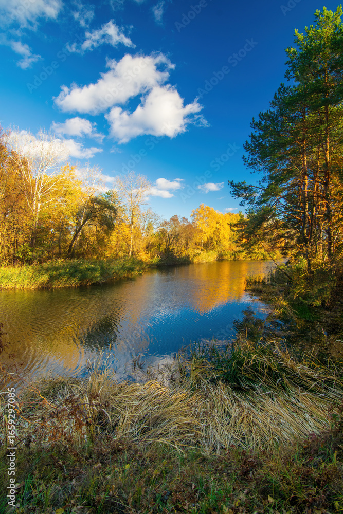 Fototapeta premium Beautiful autumn landscape reflecting on the calm water surface of a river surrounded by colorful trees and blue sky with white clouds during a sunny day