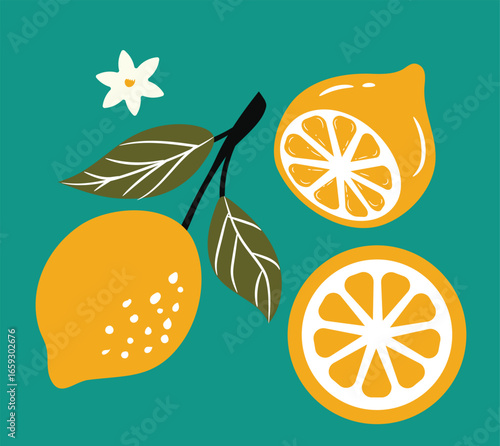 Set of Hand-Drawn LEMON.. Vector Illustration of Citrus Fruits with Leaves and Flowers. Ideal for Patterns, Cards, and Fabric