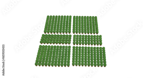 Green Tree Plantation in a Structured Geometric Pattern on White Background Minimalist Style Forest Illustration Aerial View