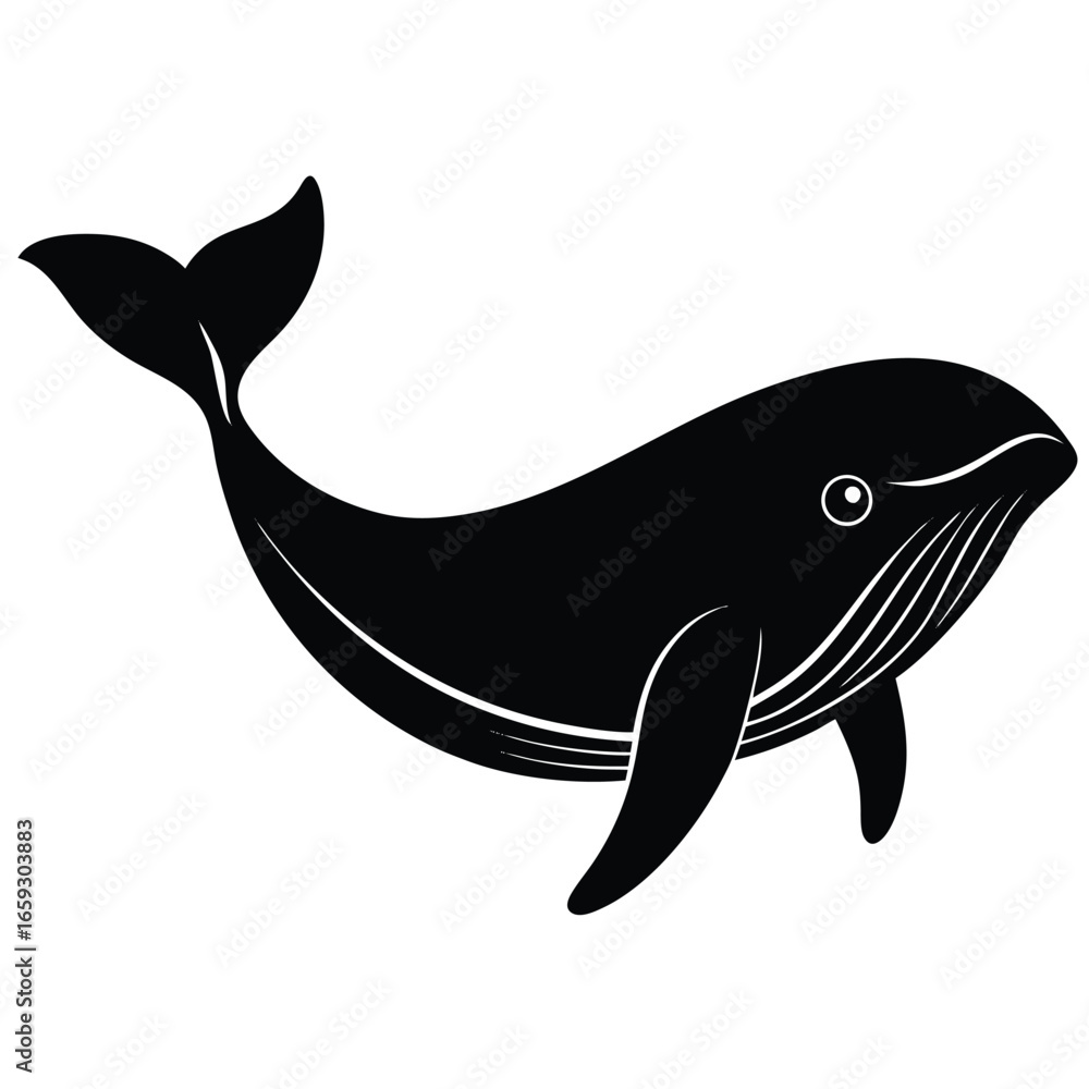 Fototapeta premium whale vector