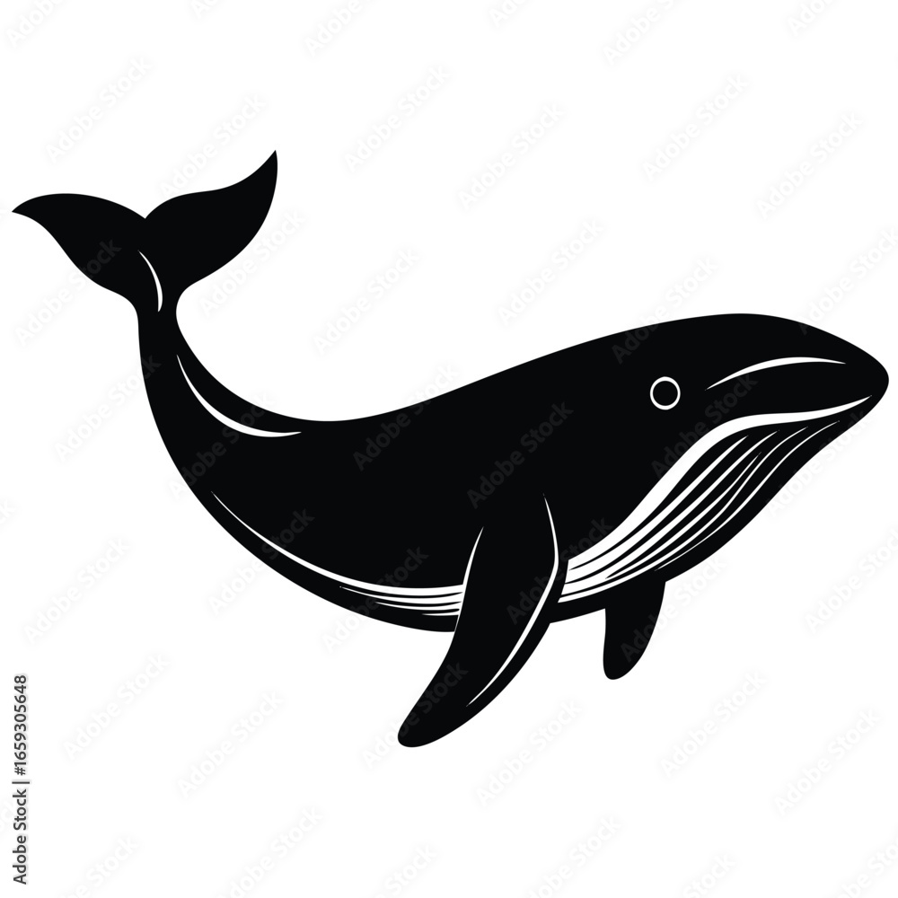 Fototapeta premium whale vector 