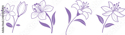 Elegant purple lily flower illustration with delicate line art and soft details. Perfect for decorative design, modern botanical artwork, and creative floral patterns. Stylish vector drawing.