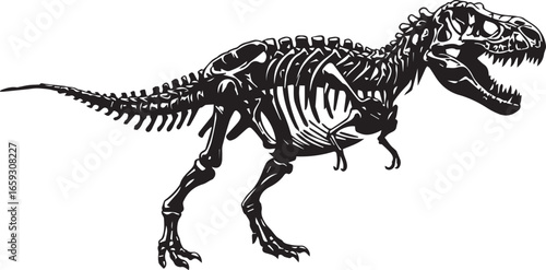 Tyrannosaurus Rex Dinosaur Skeleton Black Silhouette on White Background T-Rex fossil