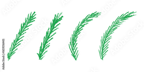 Set of hand drawn spruce branch clipart. Twig of coniferous tree doodle. Christmas and winter design element