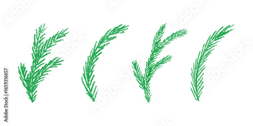 Set of hand drawn spruce branch clipart. Twig of coniferous tree doodle. Christmas and winter design element