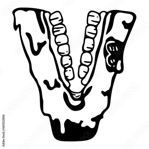 Jaw bone with teeth