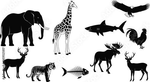 Wild animal silhouette vector set with elephant, giraffe, eagle, tiger, deer, moose, shark, rooster, fish skeleton, black wildlife illustration clipart
