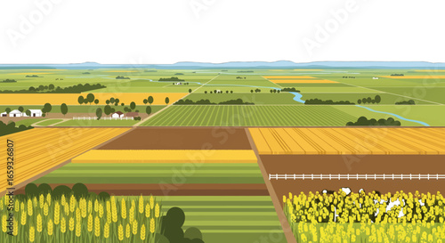 Aerial View of Agricultural Fields Featuring Varied Crops with Geometric Patterned Layout on a Sunny Day