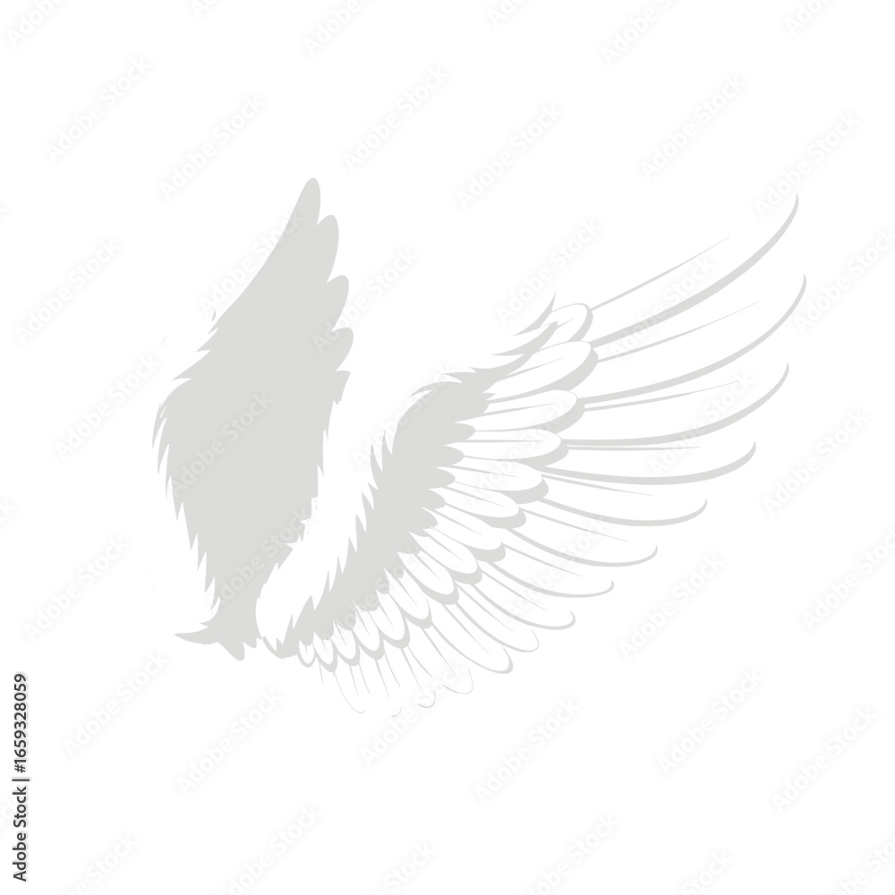 Obraz premium Detailed Gray Wing Illustration on a White Background Symbolic of Flight Freedom and Angelic Themes