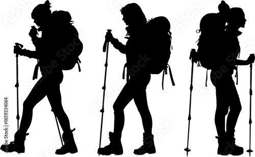 "Trailblazing Trio: Hiking in Sync"