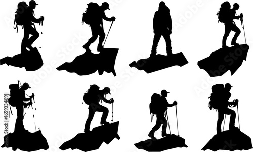 "Trailblazing Trio: Hiking in Sync"