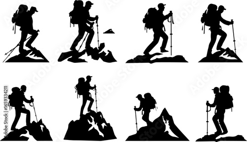 "Trailblazing Trio: Hiking in Sync"