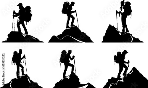 "Trailblazing Trio: Hiking in Sync"