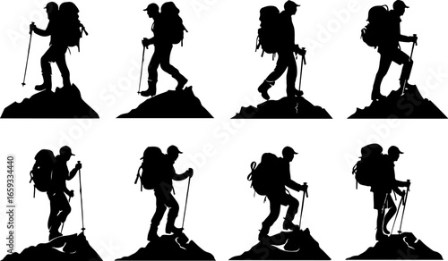 "Trailblazing Trio: Hiking in Sync"