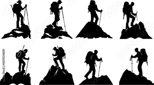 "Trailblazing Trio: Hiking in Sync"