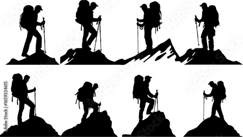 "Trailblazing Trio: Hiking in Sync"
