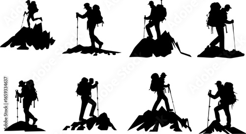 "Trailblazing Trio: Hiking in Sync"