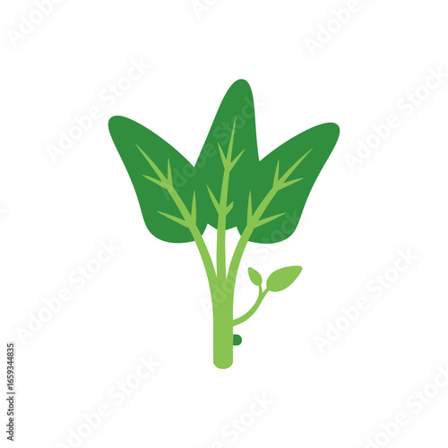 Green spinach plant icon. Symbol of fresh organic vegetable, superfood, and healthy lifestyle nutrition. Flat vector graphic art.