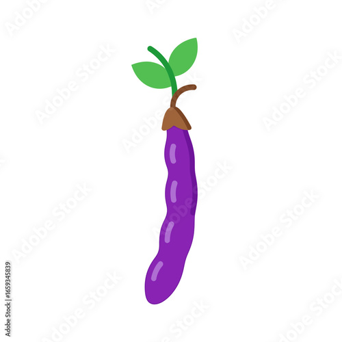 Vibrant Purple Bean Illustration Fresh, Healthy, and Delicious Vegetable