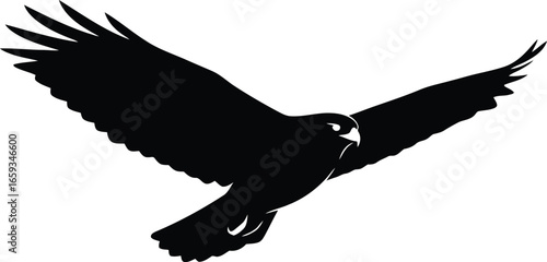 A black silhouette of a falcon in mid-flight with its wings spread wide against a white background.