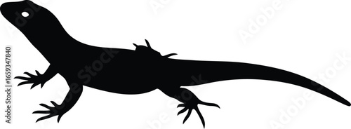 Black silhouette of a lizard.