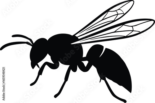 Black and white silhouette of a wasp with detailed wings and body structure.