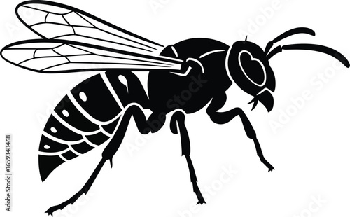 Detailed illustration of a wasp with wings, legs, and striped abdomen.
