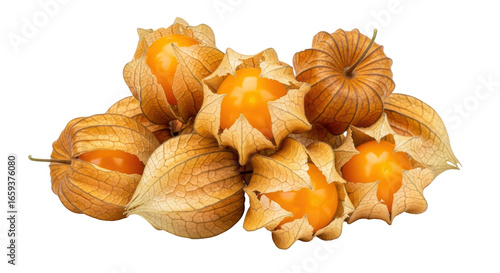Photos Isolated Physalis peruviana
