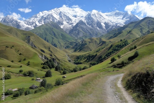 Lush valley with snow-capped mountains