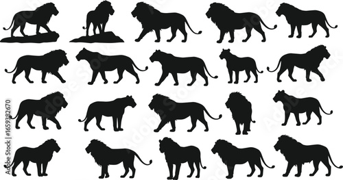 Lion silhouette collection in various poses, male and female lions, black vector icons for wildlife design, safari illustration, and animal artwork.
