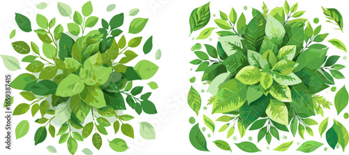 Lush Green Foliage Botanical Leaf Collection.
