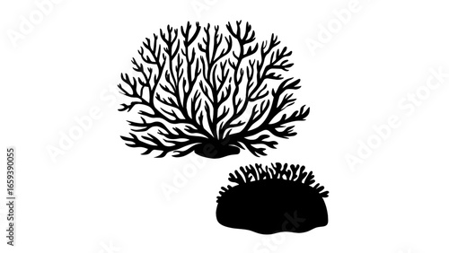 Coral silhouettes with branching and rounded forms – Marine diversity, Stylized reefscape, Symbolic growth, coral, ocean, nature, abstract