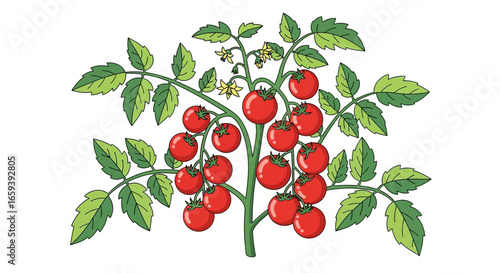 Illustrated tomato plant showcasing vibrant red tomatoes with lush green leaves and small flowers for healthy eating habits and lifestyle concept