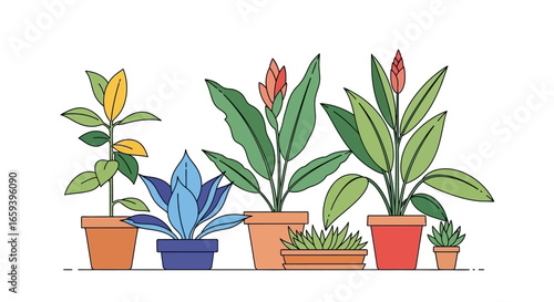 Diverse indoor plants arrangement in colorful terracotta pots, adds a touch of nature and vibrant color to any interior, showcasing line art elegance