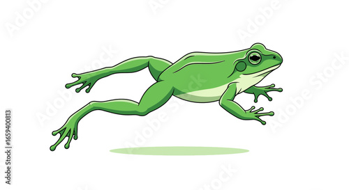 Animated green frog mid-leap, showcasing amphibian agility and cartoonish depiction isolated against a white background highlighting nature's design