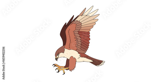 Hawk illustration showcasing predatory skills in precise line art style, rendered with attention to detail and displaying the essence of wild avian
