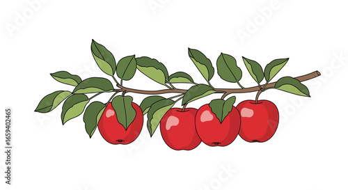 Hand-drawn illustration featuring ripe red apples hanging from a branch with lush green leaves showcasing nature's bounty and botanical art style