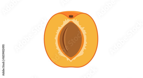 Fresh Peach Half with Seed, a Detailed Vector Illustration for Creative Design Projects that Highlights Nutrition and Healthy Eating Concepts