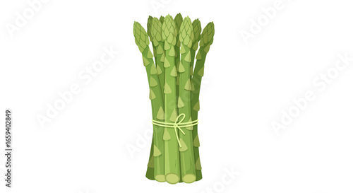 Vibrant asparagus bundle tied with string on white background, illustrating fresh, culinary ingredient